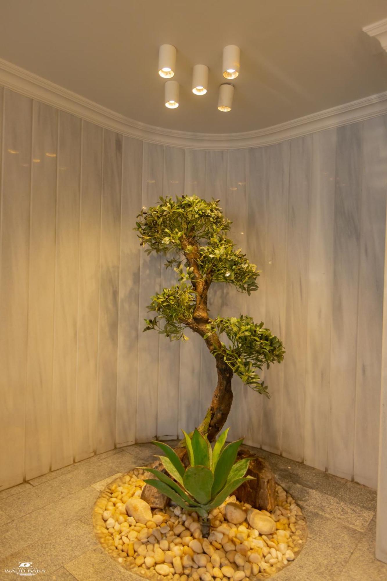El Farida Hotel 开罗 外观 照片